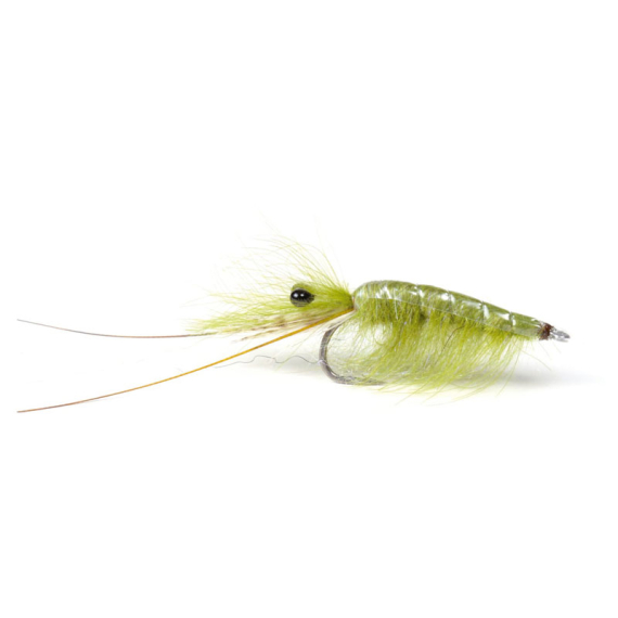 Olive CDC Shrimp #6 i gruppen Madding / Fluer / Streamere hos Sportfiskeprylar.se (101583GL)