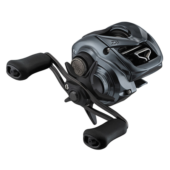 Daiwa 24 Tatula SV TW 100 i gruppen Hjul / Lavprofilhjul hos Sportfiskeprylar.se (32-223545r)