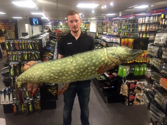 Pike Plushie XXL (2 meters long) i gruppen Andet / Legetøjsfisk og trofæfisk hos Sportfiskeprylar.se (36-5102-200)