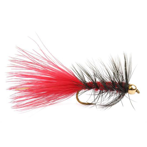 Wolly Bugger Gold Head Red Black size 8 i gruppen Madding / Fluer / Streamere hos Sportfiskeprylar.se (HF1231-8)