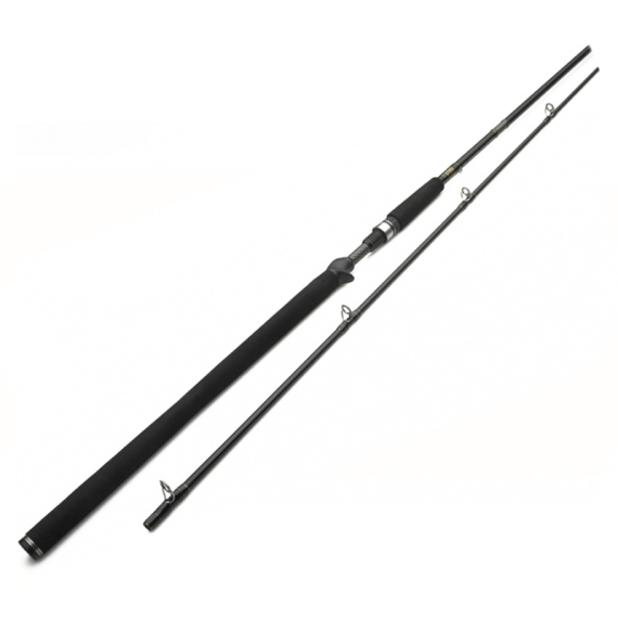 Westin W3 Powercast-T 8\'3\'\'/251cm XXH 40-130g 2pcs Casting i gruppen Stænger / Kastestænger hos Sportfiskeprylar.se (W303-0832-XXH)