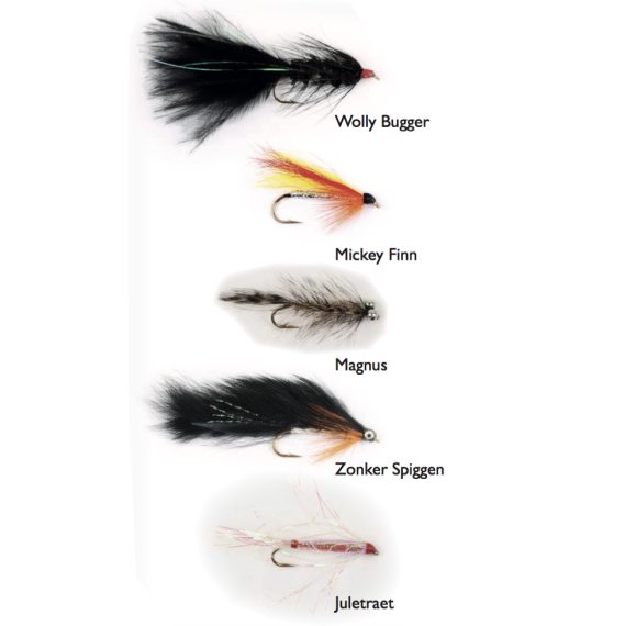 Seatrout Classics 5-pack i gruppen Madding / Fluer / Kystfluer hos Sportfiskeprylar.se (WFB69)