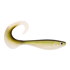 Minnow