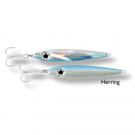 Herring