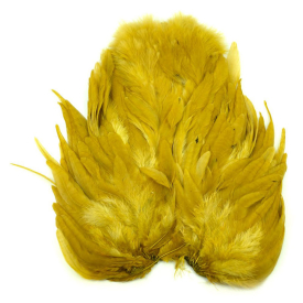 White dyed Golden Olive