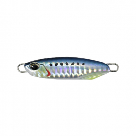 Sardine