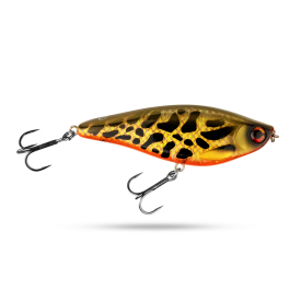 Leopard Burbot