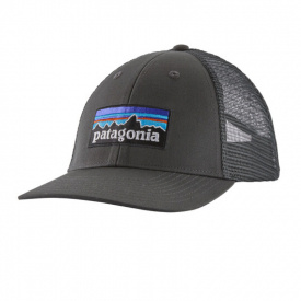 Patagonia P-6 Logo LoPro Truck Forge Grey