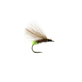 Egg Laying Caddis # 10