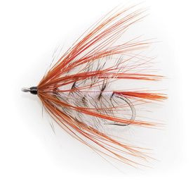 Autumn Fly - Mustad 34011 #6