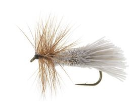 G and H Sedge Brown Daiichi 1180 #10