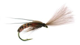 Super Emerging Caddis Cinnamon