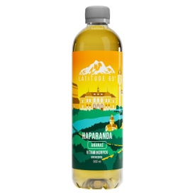 Latitude 65 Vitamin Drink 500ml - Haparanda