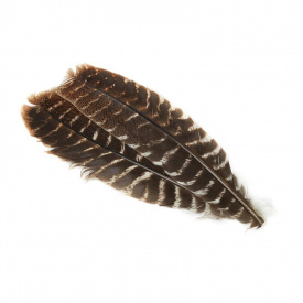 Turkey Wing Quill - Muddler