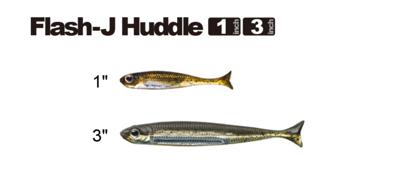 Fish Arrow Flash J Huddle